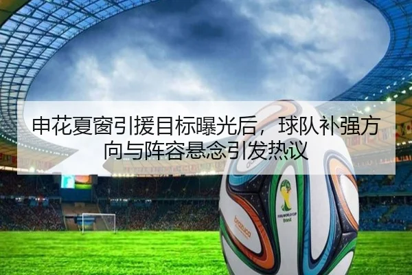 申花夏窗引援目标曝光后，球队补强方向与阵容悬念引发热议（aiyouxitiyu）